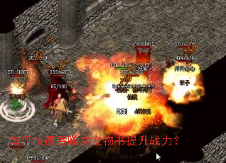 ��ο�������������������ս����