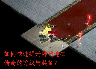 ��ο������������ʧ����ĵȼ���װ����