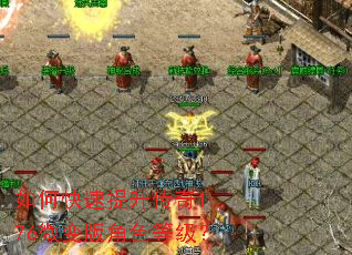 ��ο�����������1.76΢����ɫ�ȼ���