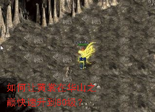 如何让黄裳在华山之巅快速升到80级? 如何让黄裳在华山之巅快速升到80级?
