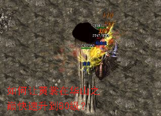 如何让黄裳在华山之巅快速升到80级? 如何让黄裳在华山之巅快速升到80级?