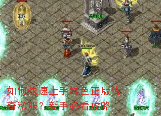 ��ο���������ɫ���洫��˽�������ֱؿ�����