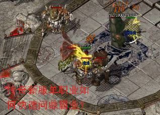 �����·���ְҵ��ο����ʶ���ҵ��