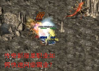 �����·���ְҵ��ο����ʶ���ҵ��