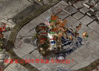 �������򵽴���װ���Զ���Ѫ��