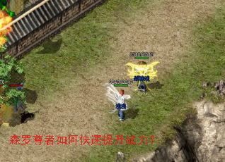 ɭ��������ο�������ս����