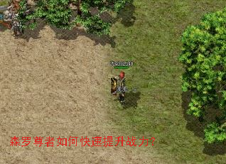 ɭ��������ο�������ս����