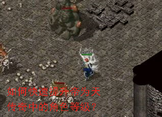 ��ο���������Ϊ�촫���еĽ�ɫ�ȼ���