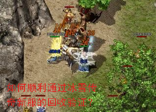 ���˳��ͨ����ѩ�����·��Ļ�����֤��