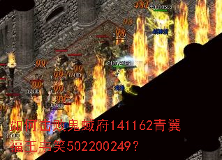 ��λ��ܹ��⸮141162��������ΤЦ502200249��