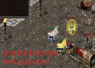 ��ɭ�ֵ�ְҵ������ο��������ȼ���