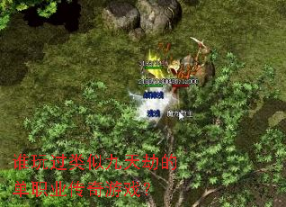 ˭������ƾ���ٵĵ�ְҵ������Ϸ��