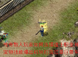 ����ɢ��������ѡ���ʿְҵ�����ó��＼�ܱ������ƴ���񱩾��޾��ţ�