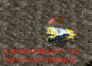 ��ο��ٻ�����������������ȼ��ɱ���滳�ɹ����ؼ�