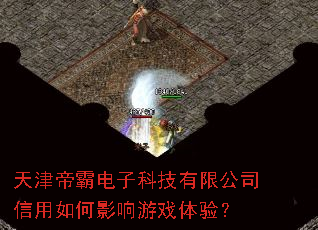 天津帝霸电子科技有限公司信用如何影响游戏体验? 天津帝霸电子科技有限公司信用如何影响游戏体验?