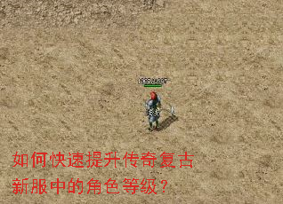 ��ο����������渴���·��еĽ�ɫ�ȼ���