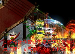 ��ο��ٻ�ȡ�����ǳ��귨����30W��ȯ����������֤����ר����ͼȫBOSS��ս�кζ��Ҽ��ɣ�