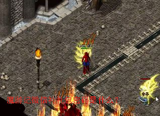 ħ�μ�΢�������������ʲô��