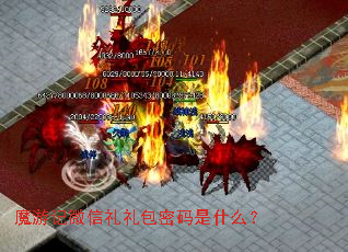 ħ�μ�΢�������������ʲô��