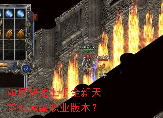 ��ο�������ȫ��������ħ��ְҵ�汾��