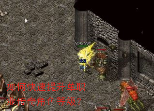 ��ο���������ְҵ�����ɫ�ȼ���