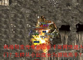 ������䴫���·�������ο������ţ�������С�׳ɳ�Ϊ��Ϸ���֣�