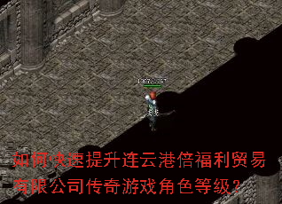 ��ο����������Ƹ۱�����ó�����޹�˾������Ϸ��ɫ�ȼ���