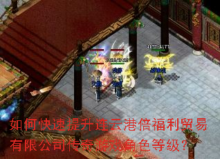 ��ο����������Ƹ۱�����ó�����޹�˾������Ϸ��ɫ�ȼ���