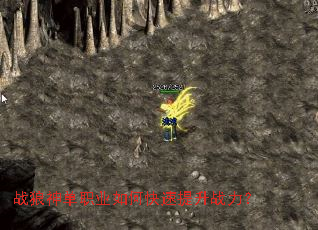 ս����ְҵ��ο�������ս����