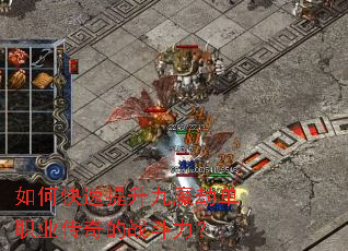 ��ο���������ħ�ٵ�ְҵ�����ս������