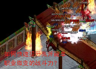 ��ο������������ص�ְҵ΢���ս������