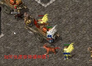 ��ο��ٻ�ñ�������