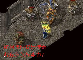 ��ο�������������Ϸ��ɫս������