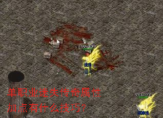 ��ְҵ��ʧ�������Լӵ���ʲô���ɣ�