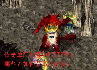 ���浥ְҵ�����֤������Щ����λ�ȡ��ʹ�ã�