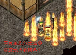 ���鵥ְҵ�������ȡ�ص�����Щ��