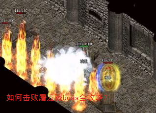 ��λ�������¾bossȫ���ԣ�