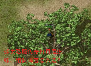 ��ʧ˽���������ħ֩�룬���������ôѡ��