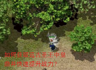 如何获取远古圣王中皇鼎并快速提升战力? 如何获取远古圣王中皇鼎并快速提升战力?