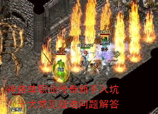 ���ӵ�ְҵ����������ӣ�ʮ�󳣼�����������