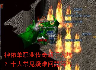 ���ӵ�ְҵ����������ӣ�ʮ�󳣼�����������