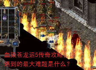 ѪȾ������5���湥�ԣ������������������ʲô��