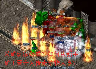 �ɿ���ұؿ�����δ����ֿ󹤽���Ϊ��������ࣿ