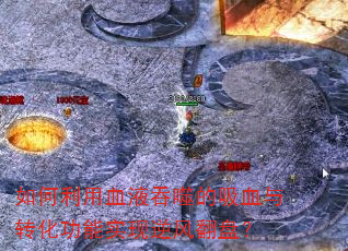 �������ѪҺ���ɵ���Ѫ��ת������ʵ����緭�̣�