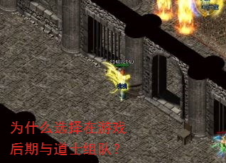 为什么选择在游戏后期与道士组队? 为什么选择在游戏后期与道士组队?