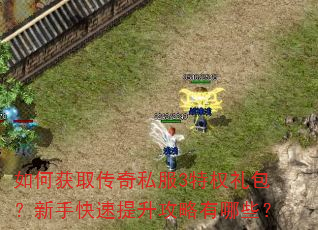 如何获取传奇私服3特权礼包?新手快速提升攻略有哪些? 如何获取传奇私服3特权礼包?新手快速提升攻略有哪些?