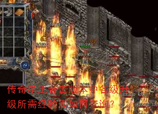 ���������ϻ��汾�и����������辭�����β�ѯ��