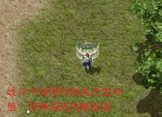 战斗中如何时刻关注生命值?传奇游戏攻略指南 战斗中如何时刻关注生命值?传奇游戏攻略指南