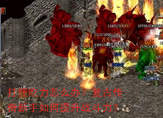 ��ֳ�����ô�죿���Ŵ��������������ս������