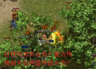 ��ֳ�����ô�죿���Ŵ��������������ս������